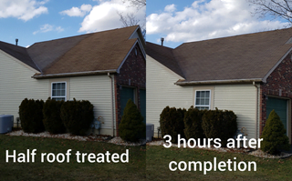 Half Roof Treated
