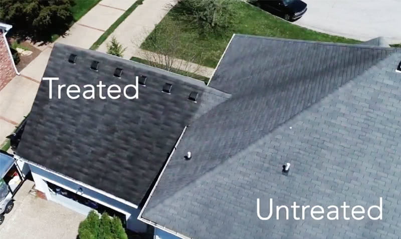 Roofing Treated Untreated