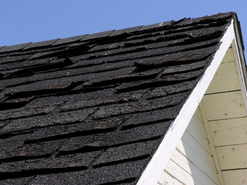 Asphalt Shingle Restoration Is Necessary If Your Roof Shows These Signs